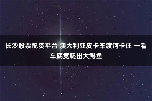 长沙股票配资平台 澳大利亚皮卡车渡河卡住 一看车底竟爬出大鳄鱼