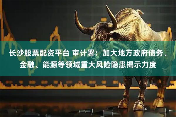 长沙股票配资平台 审计署：加大地方政府债务、金融、能源等领域重大风险隐患揭示力度